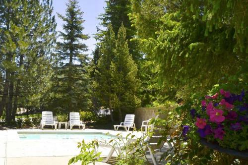 Red Pine Tranquility