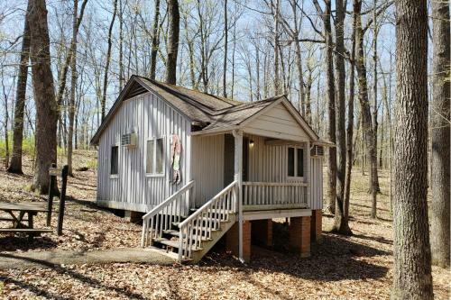 Hotel Abe Martin Lodge & Cabins