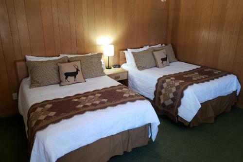 Hotel Abe Martin Lodge & Cabins