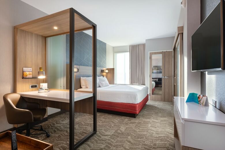 Hotel Springhill Suites By Marriott Chattanooga South/ringgold