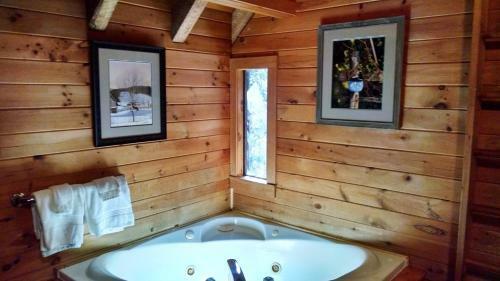 Hotel Bear Den Mountain Resort