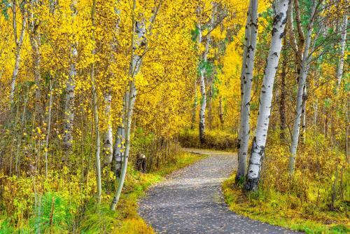 Black Butte Ranch: Aspen Grove Retreat