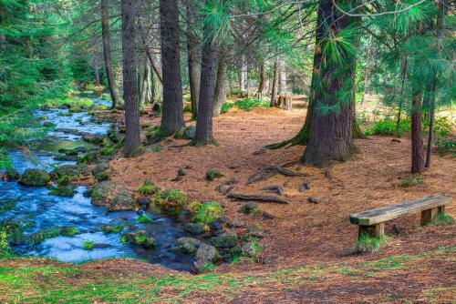Black Butte Ranch: Aspen Grove Retreat