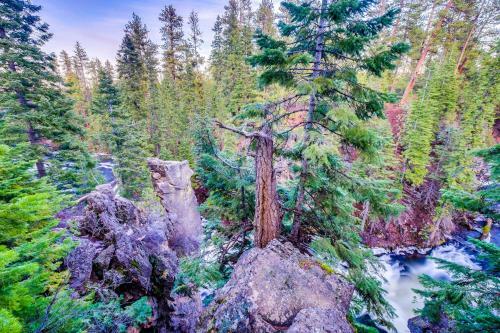 Black Butte Ranch: Aspen Grove Retreat