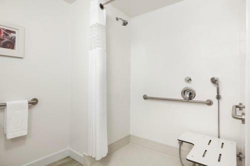 Hotel Hampton Inn By Hilton Turlock