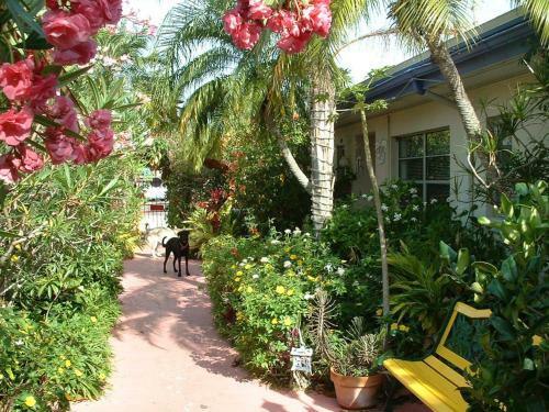 Apartamento Whispers Resort #6 Dlx 1b/r Condo