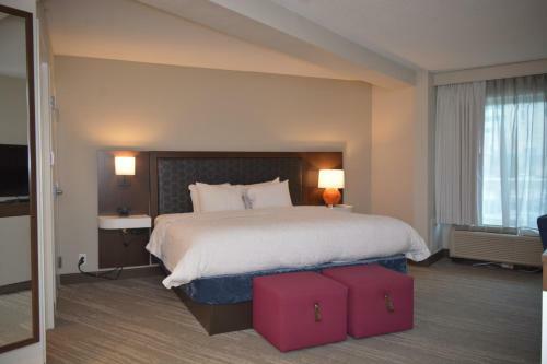 Hotel Hampton Inn Salem East - Electric Road