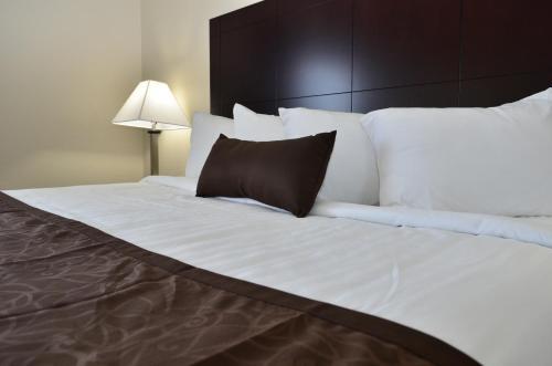 Hotel Cornerstone Inn & Suites Oelwein