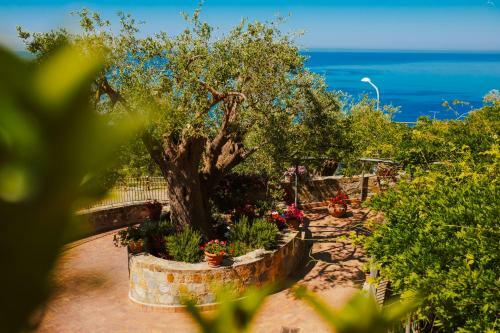 Apartamento Residenza Golfo Degli Ulivi