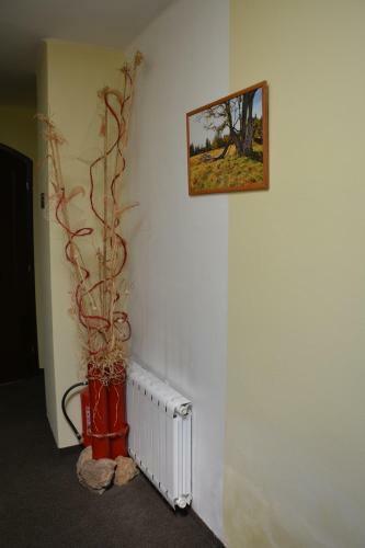 Hostal Penzion Na Zborov?