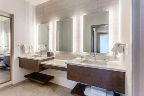 Hotel Holiday Inn & Suites Cedar Falls-waterloo Event Ctr