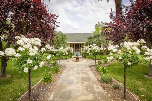 Alexander Valley Estate In The Vineyards Home