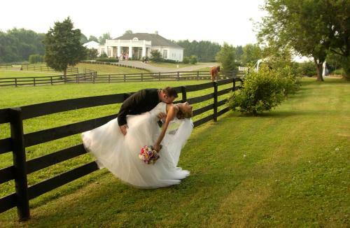 Bed & Breakfast Black Horse Inn