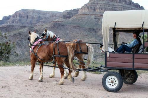 Agroturismo Grand Canyon Western Ranch