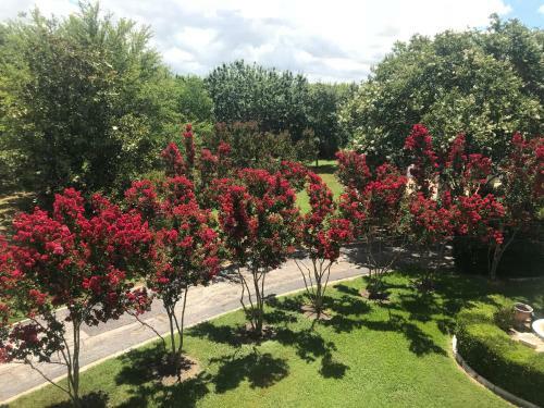 Bed & Breakfast The Plantation House Boutique Inn