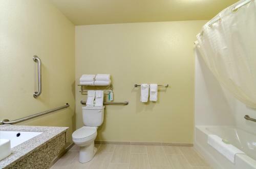 Hotel Cobblestone Inn & Suites - Oberlin