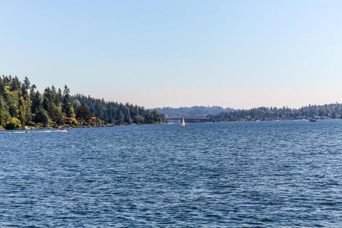Little Log Cabin On Lake Washington