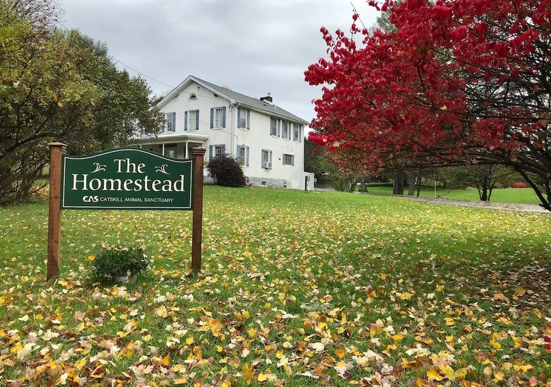 Bed & Breakfast The Homestead At Catskill Animal Sanctuary