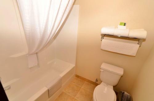 Hotel Cobblestone Inn & Suites - Holstein