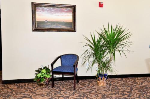 Hotel Cobblestone Inn & Suites - Holstein
