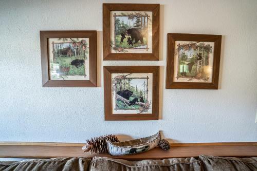 Bears Den B&B And Lodging