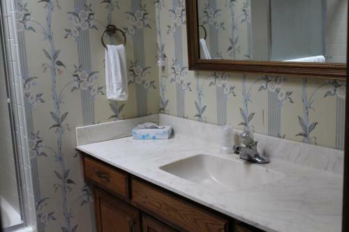 Motel Basswood Resort