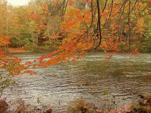 Paddler's Lane Retreat