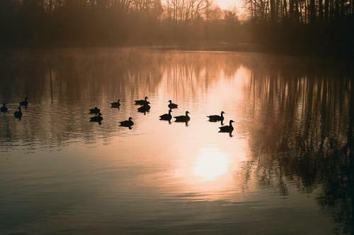 Paddler's Lane Retreat