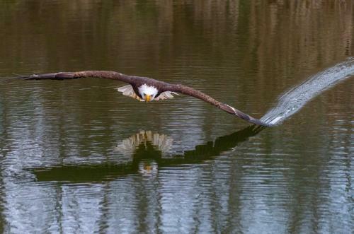 Paddler's Lane Retreat