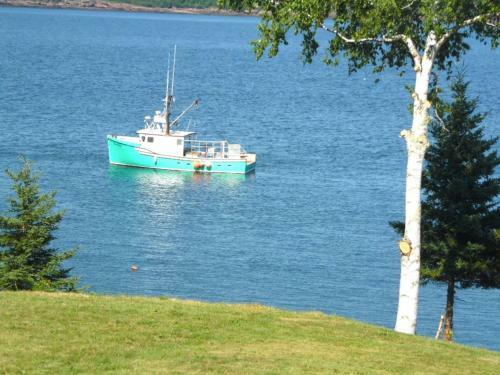 Redclyffe Shore Motor Inn