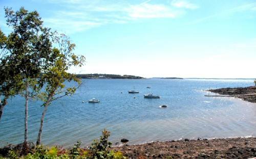 Redclyffe Shore Motor Inn