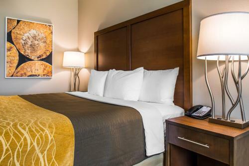Hotel Comfort Inn & Suites Valdosta