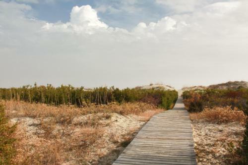 Catesby's Bluff 2240