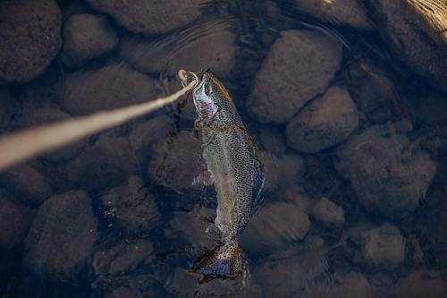 Lodge Lakeview Terrace Resort