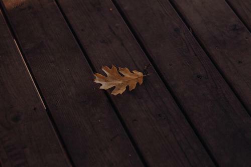 Lodge Lakeview Terrace Resort