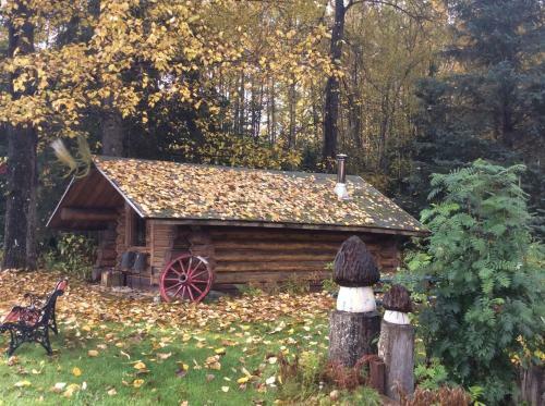 Bear Creek Lodge Alaska