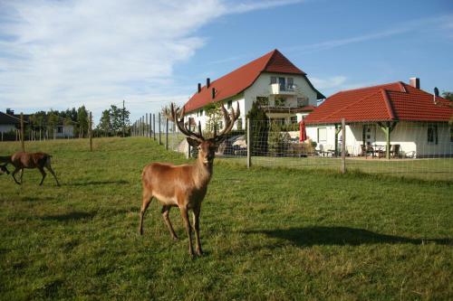 Agroturismo Ferienhof Tiergarten