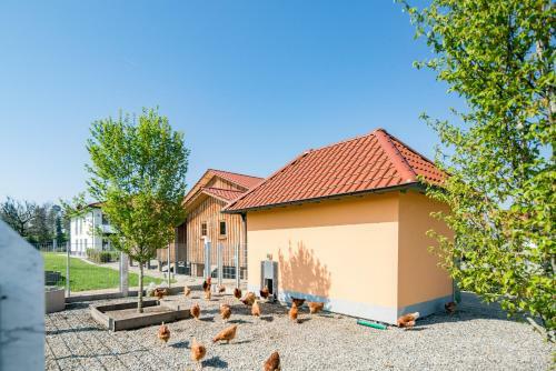 Agroturismo Ferienhof Tiergarten