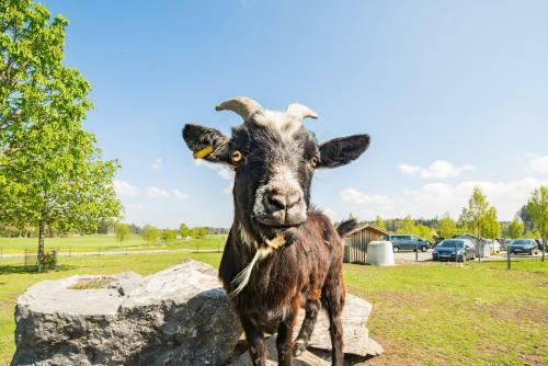 Agroturismo Ferienhof Tiergarten