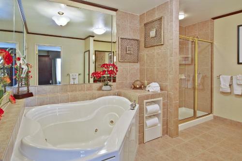 Hotel Holiday Inn Express & Suites - Sharon-hermitage