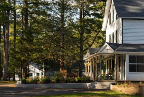 Bed & Breakfast The Cottage In The Pines