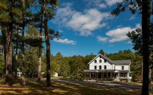 Bed & Breakfast The Cottage In The Pines