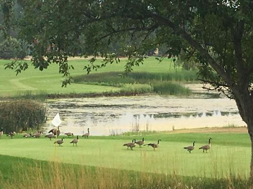 Apartamento Lake Shastina Golf Resort