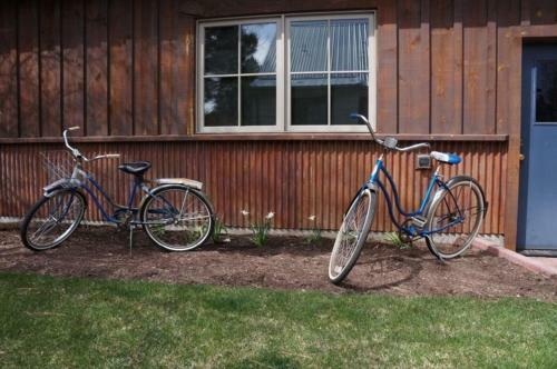 Fish Inn Bike Inn
