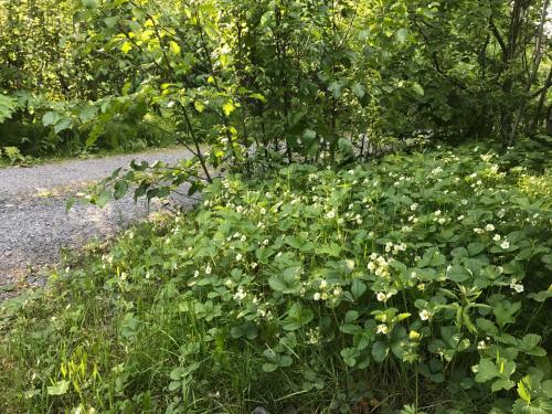 Apartamento Resurrection River Rentals