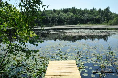 Tuxbury Pond Camping Resort Tiny House Murphy