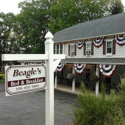 Beagle's Bed & Breakfast
