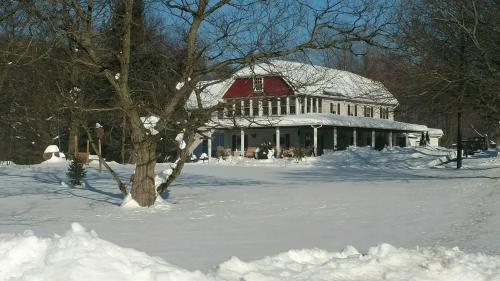 Beagle's Bed & Breakfast