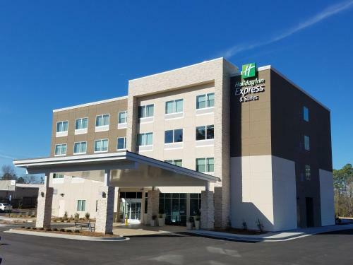 Hotel Holiday Inn Express & Suites - Carrollton West