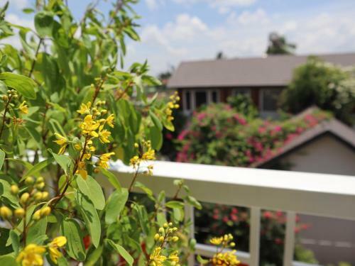 Homestay In Tay Ninh